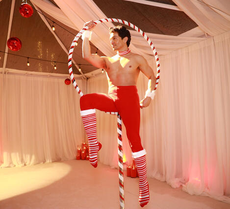 Lollipop Pole Aerialist